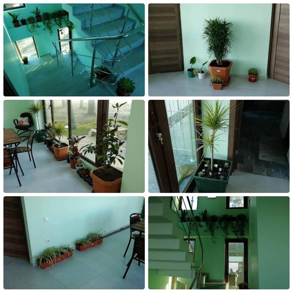 Shekvetili Green House Екстер'єр фото